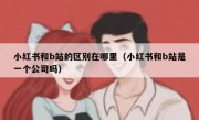 小红书和b站的区别在哪里（小红书和b站是一个公司吗）