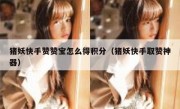 猪妖快手赞赞宝怎么得积分（猪妖快手取赞神器）
