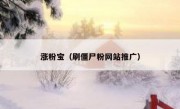涨粉宝（刷僵尸粉网站推广）