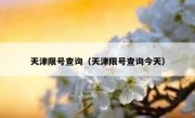 天津限号查询（天津限号查询今天）