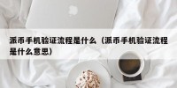 派币手机验证流程是什么（派币手机验证流程是什么意思）