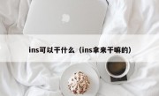 ins可以干什么（ins拿来干嘛的）