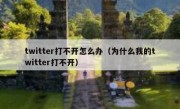 twitter打不开怎么办（为什么我的twitter打不开）
