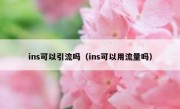 ins可以引流吗（ins可以用流量吗）