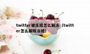 twitter被冻结怎么解冻（twitter怎么解除冻结）