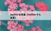 twitter主页面（twitter个人主页）