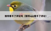 推特看不了评论吗（推特app看不了评论）