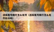 违反尾号限行怎么处罚（违反尾号限行怎么处罚扣分吗）