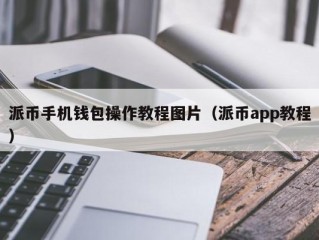 派币手机钱包操作教程图片（派币app教程）
