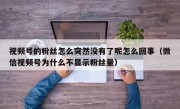 视频号的粉丝怎么突然没有了呢怎么回事（微信视频号为什么不显示粉丝量）