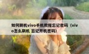 如何刷机vivo手机教程忘记密码（vivo怎么刷机 忘记开机密码）