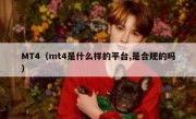 MT4（mt4是什么样的平台,是合规的吗）