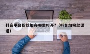 抖音平台粉丝加在哪里打开?（抖音加粉丝渠道）