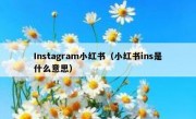 Instagram小红书（小红书ins是什么意思）