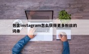 包含instagram怎么获得更多粉丝的词条