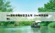 ins涨粉攻略标签怎么写（ins如何涨粉快）