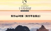支付api对接（支付平台接口）