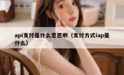 api支付是什么意思啊（支付方式iap是什么）