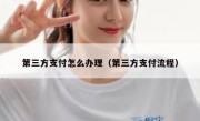 第三方支付怎么办理（第三方支付流程）