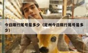今日限行尾号是多少（定州今日限行尾号是多少）