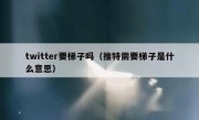 twitter要梯子吗（推特需要梯子是什么意思）