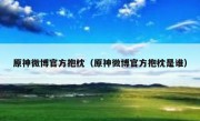 原神微博官方抱枕（原神微博官方抱枕是谁）
