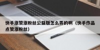 快手涨赞涨粉丝公益版怎么弄的啊（快手作品点赞涨粉丝）