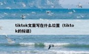 tiktok文案写在什么位置（tiktok的标语）