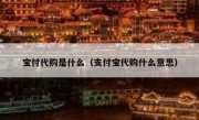 宝付代购是什么（支付宝代购什么意思）