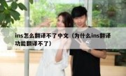 ins怎么翻译不了中文（为什么ins翻译功能翻译不了）