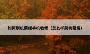 如何刷机荣耀手机教程（怎么样刷机荣耀）