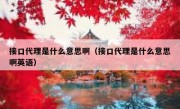接口代理是什么意思啊（接口代理是什么意思啊英语）
