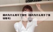国内为什么用不了推特（国内为什么用不了推特账号）