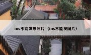 ins不能发布照片（ins不能发图片）