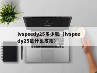 lvspeedy25多少钱（lvspeedy25是什么皮质）
