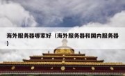 海外服务器哪家好（海外服务器和国内服务器）