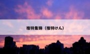 推特集锦（推特けん）