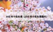 小红书个性头像（小红书个性头像图片）