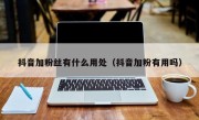 抖音加粉丝有什么用处（抖音加粉有用吗）