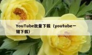 YouTube批量下载（youtube一键下载）