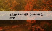 怎么在tiktok赚钱（tiktok现在如何）