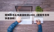 视频号怎么快速涨粉到1000（视频号怎样快速涨粉）
