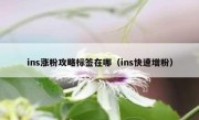 ins涨粉攻略标签在哪（ins快速增粉）
