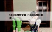 tiktok爆款文案（tiktok爆红案例）