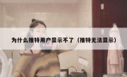 为什么推特用户显示不了（推特无法显示）