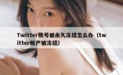 Twitter账号被永久冻结怎么办（twitter帐户被冻结）