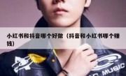 小红书和抖音哪个好做（抖音和小红书哪个赚钱）
