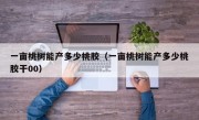 一亩桃树能产多少桃胶（一亩桃树能产多少桃胶干00）