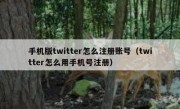 手机版twitter怎么注册账号（twitter怎么用手机号注册）