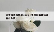 饥荒服务器搭建linux（饥荒服务器搭建有什么用）